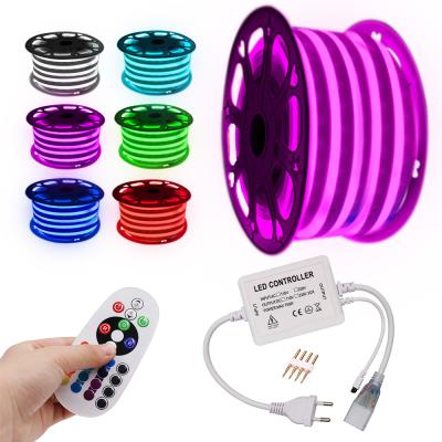 China LANDSCAPE Neon Strip Light 220V 110V RGB 24Key IR Flex Neon Sign Night Light Remote Control SMD 2835 Strip 5050 120Leds/m Waterproof Rope for sale