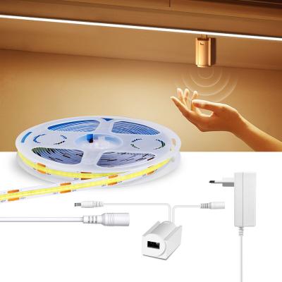 China 12V 8mm LANDSCAPE Sensor LED Dimmable Color COB LED White Strip Light 3000K 4000K 6000K 320LEDs Best Linear FOB Smart Strip Light for sale