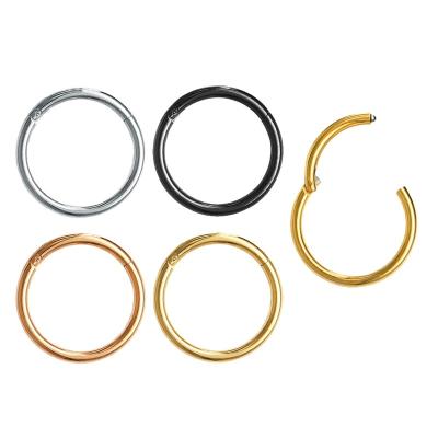 China Hiphop FashionTitanium Hinged Segment Rose Gold Silver Black Blue Rainbow 316l Surgical Steel Hinged Nose Rings for sale