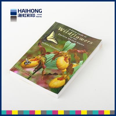 Cina Stampa softcover del libro della foto di colore pieno con la metallina, carta patinata rivestita lucida in vendita