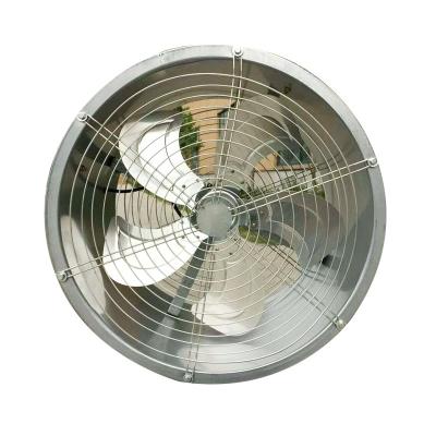 China Professional Hotels Large Airflow Exhaust Axial Circulation Fan For Greenhouse for sale