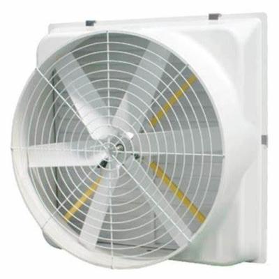 China Ventilation High Performance Industry Poultry Frp Fan With Stainless Steel Blades for sale