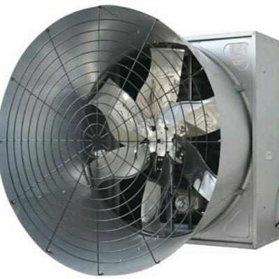 China Poultry Farms Price Cheap Greenhouse Broiler Farm Temperature Controlled Exhaust Fan for sale