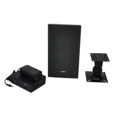 China No Ultrasonic Speaker System Acoustic Professional Amplifier Integrated Wall Mount Directional Speaker for sale