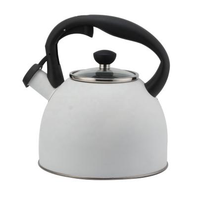 China Sustainable Modern Tea Kettle Stovetop Teapot Stainless Steel Whistling Surgical Kettle for sale