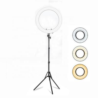 China Hot Amazon Shine Video Ring With Tripod Stand Selfie Ring Light 10 Inch Makeup Fill Lamp for sale