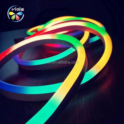 China Affordable Dream Color 5050 Flex LED Theme Park PVC Neon Light DC24V/12V/5V for sale