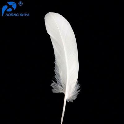 China Decoration feather material. For Feather Pen Feather Crafts Wholesale HP Series Top Selling Raw Material Customized Washed Or Natural Dyed Duck Feather for sale