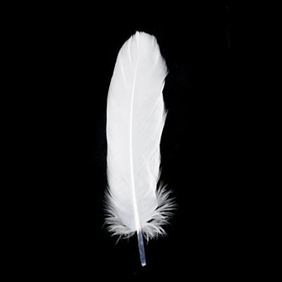 China Decoration feather material. For Feather Pen Feather Crafts Wholesale Series Selling 80 Feather Duck Down Feather Duck Feather 20 for sale