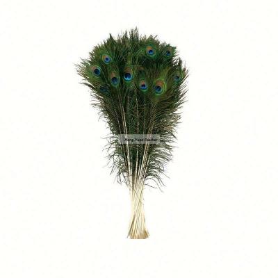 China Manufacturer #1913 Natural decoration feather material 30-35 inch natural peacock feathers in feather for sale cheap for sale