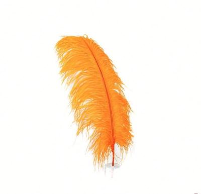 China Decoration feather material. Party Ware Or Mask Ostrich Feather Drabs 20-22 Inch Feathers Decoration For Carnival for sale