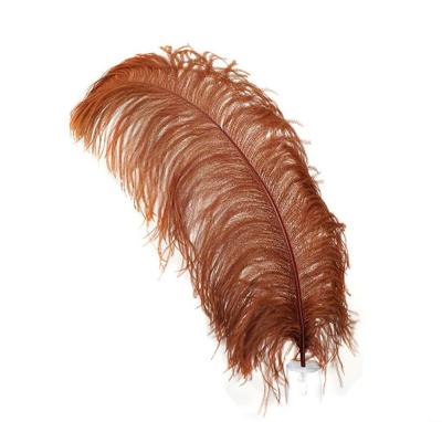 China Excellent Quality Material Hot Selling Ostrich Feather Decoration Big Feather Feather Curly Ostrich Feather Boa Group Ostrich Feather Boa for sale