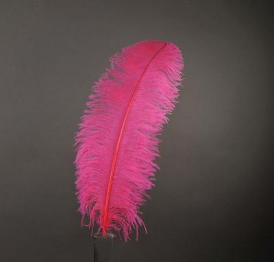 China Decoration feather material. Feather for Cheap Party Items or Mask 55-60cm White and Color Artificial Ostrich Feathers Natural Cheap Ostrich Feather for sale