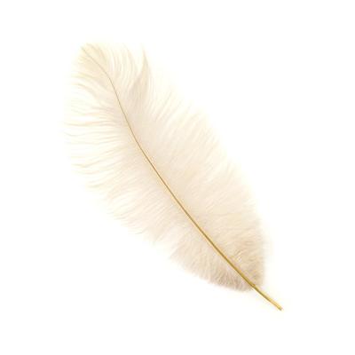 China Decoration feather material. Feather For Party Items Or Mask Factory Top Selling Cheap High Quality Ostrich Feather 35-40cm White for sale