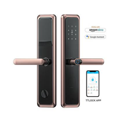 China Smart Home Smart Home Apartment Digital Door Handle Lock Tuya Life TTlock APP Fingerprint Passcode Smart Home Office Apartments Hotel Wifi Door Locks main board for sale