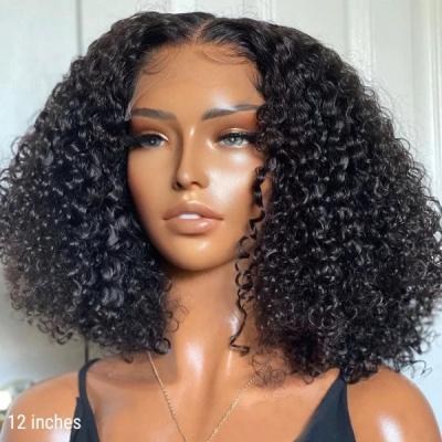 China Hot Selling Yaki Hair 13*6 Lace Front Wig Kinky Curly Hair Transparent 100% Swiss Lace Wig Front Wig For Black Women for sale