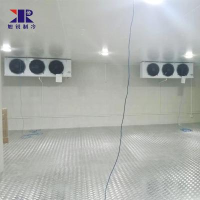 China Container Beef Freezer Cold Room Sea Fish Products Cold Room Storage Fish Cold Storage for sale