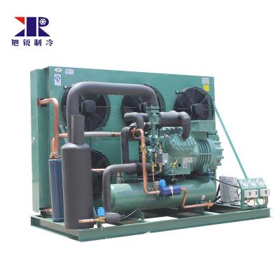 China Famous semi-hermetic cold storage room freezer room other refrigerators10 ton condensing unit 30 hp blast refrigerator compressor condensing unit for sale for sale