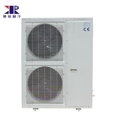 China Cold Storage Room Mini Freezer Room Refrigerant Cold Storage Chamber R404a Unit Manufacturer for sale