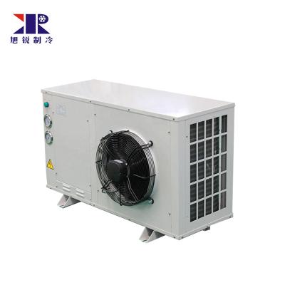 China Cold Storage Room Freezer Room 5% Discount 3hp Air Cooled Chiller Refrigeration Unit for sale