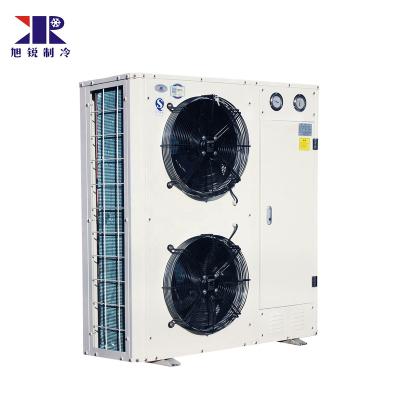 China Cold Condensing Storage Room Freezer Room 5% Discount 5hp Units Manufacturer for sale