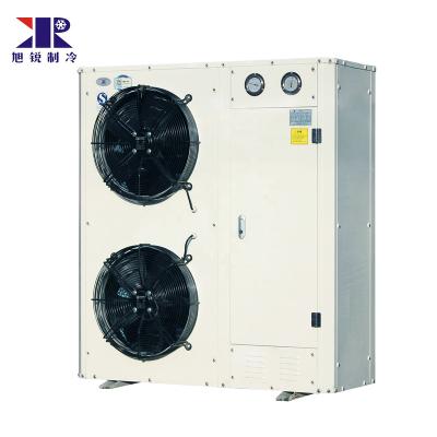 China Freezer Storage Scroll Compressor Small Refrigeration Cold Room Hermetic Condensing Unit for Cold Storage for sale