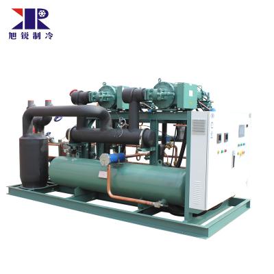 China Hotels air cooled HSN7471-75 low temperature paralled screw compressor condensing unit 2 paralled condensing racks for sale