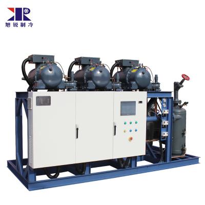 China High Quality Hotels Air Cooled Hanbell Screw Compressor Units Refrigeration Condensing Racks For Store Cold Room for sale