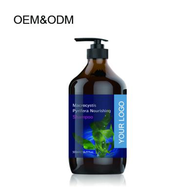 China Mini MOQ Color-protection 24 Pieces OEM Macrocystis pyrifera Nourishing Shampoo for sale