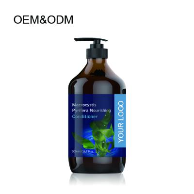 China Color-Protection YOUR LOGO 24 Pieces OEM Macrocystis Pyrifera Nourishing Hair Conditioner for sale