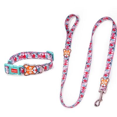 China DETACHED Floral Dog Collar And Flower Leashes Adsjutable Pet Collars Set For Small Medium Large Dogs Boys Girls for sale