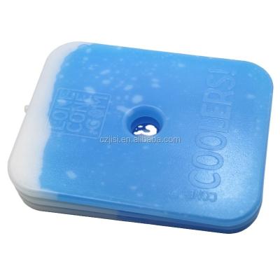 China Chinese Thin Ice Packs Supplier Insulated Cooler Ice Packs Ice Packs For Kids Bag for sale