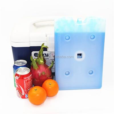 China New Product Ice Pack Cooler Accumulator Insulated Cold Ice Pack For Transportation for sale