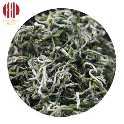 China Loose Tea China MAO FENG GREEN Mao Feng Chinese Green Tea And Organic Fresh Organic Loose Leaf Healthy Green Tea for sale