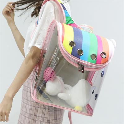 China Amiqi Breathable Factory Customized Transparent Breathable Travel Pet Backpack Small Cat Carrying Bag CW1993 for sale