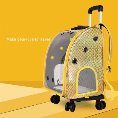 China Amiqi Space Pet Trolley Large Pet Trolley Pet Bag Capsule Crate Pet Carrier Bags Breathable Transparent Bag CW2023 for sale