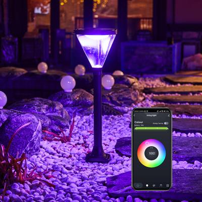 China 2021 Garden New Arrival Decorative Waterproof IP54 Outdoor Landscape Lighting Smart Solar Led Garden Light for sale