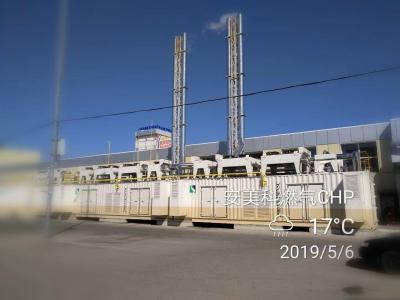 Китай теплоэлектроцентраль завода CHP лэндфилл-газа 200kW продается