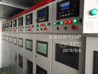 China Biogascogeneratie Gecombineerde Hitte en Macht 50kw 5000kW Te koop