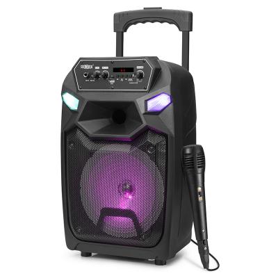 China Mini System Full Range Powered Professional DJ Speaker Sound System for sale