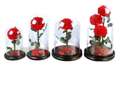 China Amazon Factory Wholesale Beauty Colorful Best Sellers And Best Customized Dish Preserved Rose In Glass Dome for sale