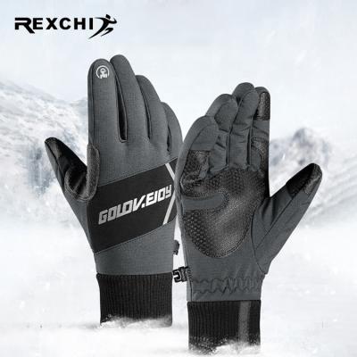 China REXCHI DB25 Touch Screen Winter Full Finger Ski Racing Gloves Waterproof Windproof Thermal Gloves For Cycling Men Women Outdoor for sale