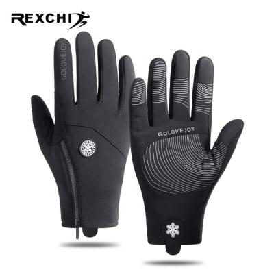 China Fast Delivery Outdoor Sports REXCHI DB60 Thickened Non-slip Fleece Lined Touch Screen Windproof Gloves For Moto Skiing Gloves for sale