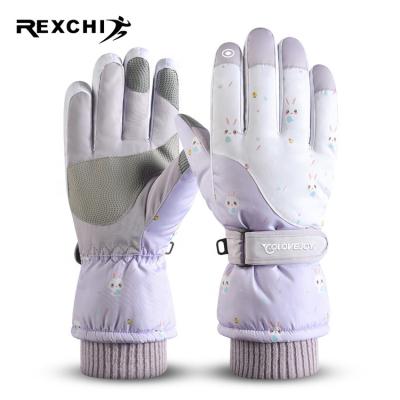 China REXCHI SK14 Waterproof Men's Women's Ski Gloves Snow Snowboard Motorcycle Riding Snow Gloves Winter Warm for sale