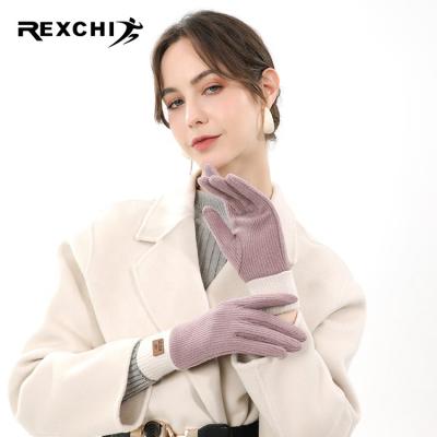 China Lady Autumn Heated Mitten Fleece Lining Hyisuronic Ion Touch Screen Acid Positive Jacquard REXCHI DY15 Winter Gloves for sale