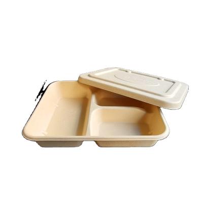 China Wholesale Eco-Friendly Three Grid Food Bowl Biodegradable Food Boxes Disposable Take-Out Packaging With Lid for sale