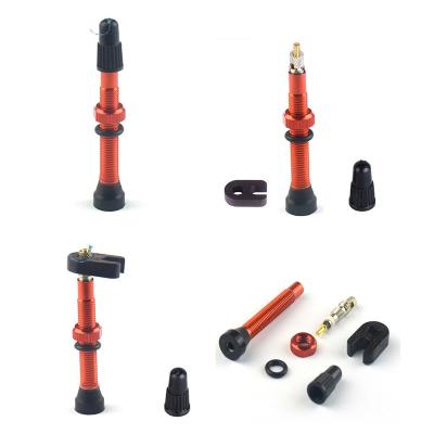 China Road Bike Tire Manufacturer Price Hot Custom Spray 44mm Copper Valve Nozzle for sale