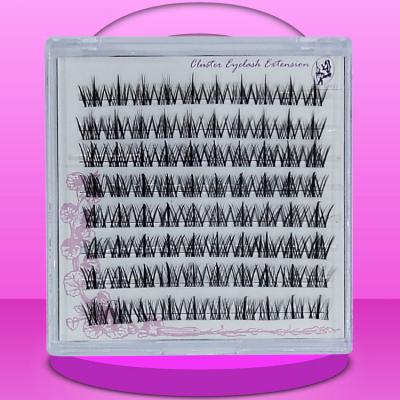 China Natural Soft Allow personalization Korean PBT length 8mm-25mm 6D Fan Eyelashes Mink Individual Lash Cluster Kit for sale