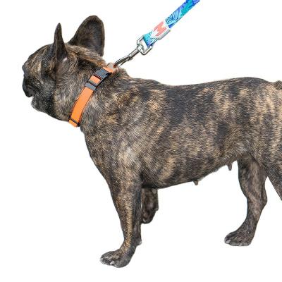 China DETACHED No Customized Rubber Small Size Optional Dog Collar Minimum Order Side Logo XS Color Nylon Material for sale