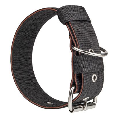 China Classic DETACHED Adjustable Heavy Duty Hard Nylon Black Dog Collar With Plating 2 Inches Wide For Walking for sale